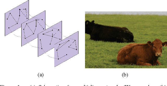 Figure 1 for Multislice Modularity Optimization in Community Detection and Image Segmentation