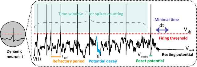 Figure 1 for Tuning Convolutional Spiking Neural Network with Biologically-plausible Reward Propagation