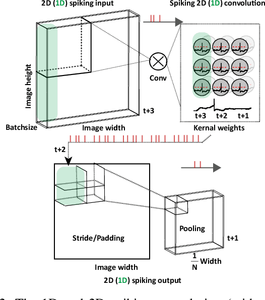 Figure 2 for Tuning Convolutional Spiking Neural Network with Biologically-plausible Reward Propagation