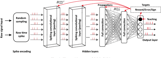 Figure 4 for Tuning Convolutional Spiking Neural Network with Biologically-plausible Reward Propagation