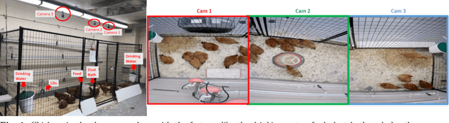 Figure 1 for Birds' Eye View: Measuring Behavior and Posture of Chickens as a Metric for Their Well-Being