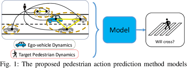 Figure 1 for Graph-SIM: A Graph-based Spatiotemporal Interaction Modelling for Pedestrian Action Prediction