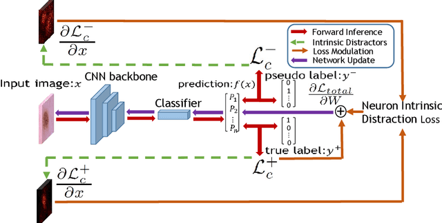 Figure 3 for Distractor-Aware Neuron Intrinsic Learning for Generic 2D Medical Image Classifications