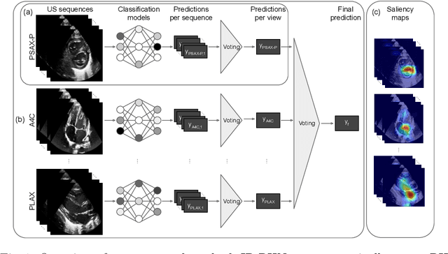 Figure 1 for Interpretable Prediction of Pulmonary Hypertension in Newborns using Echocardiograms