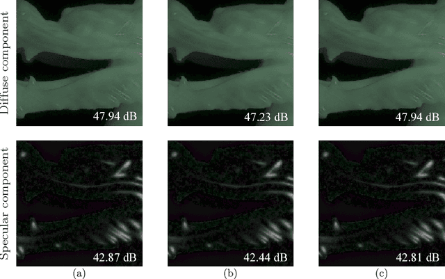 Figure 4 for Embedded polarizing filters to separate diffuse and specular reflection