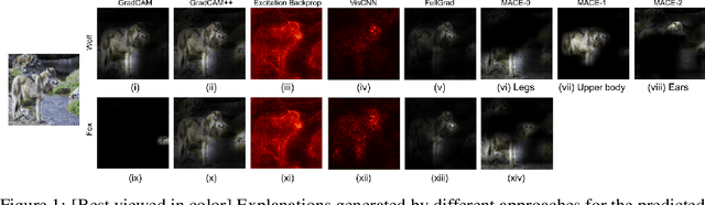 Figure 1 for MACE: Model Agnostic Concept Extractor for Explaining Image Classification Networks