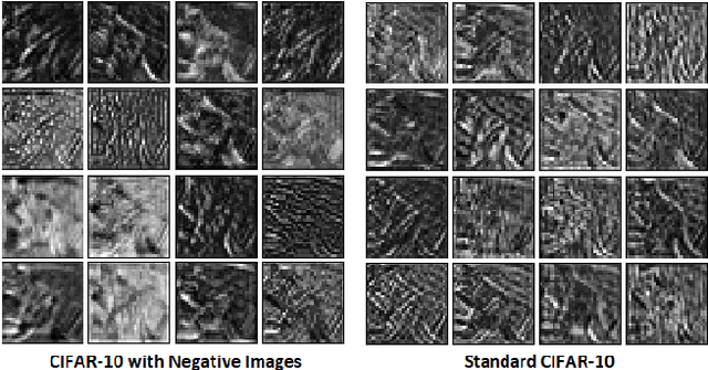 Figure 2 for Examining and Mitigating Kernel Saturation in Convolutional Neural Networks using Negative Images