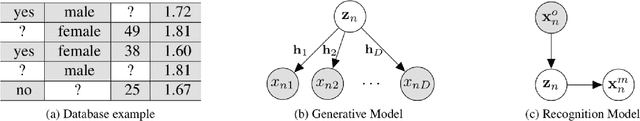 Figure 1 for Handling Incomplete Heterogeneous Data using VAEs