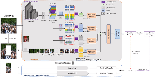 Figure 3 for CrowdMLP: Weakly-Supervised Crowd Counting via Multi-Granularity MLP