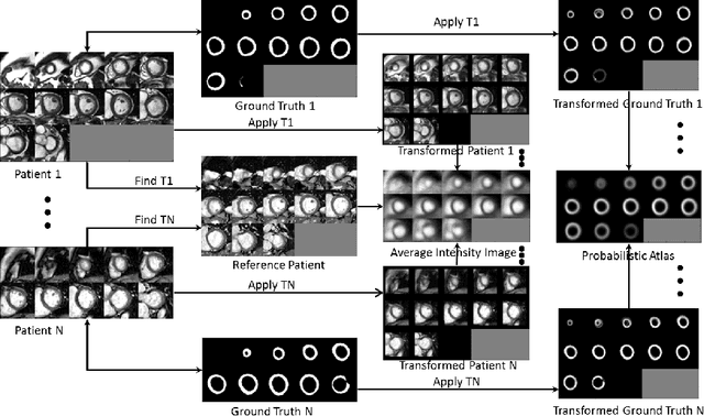 Figure 1 for Integrating Atlas and Graph Cut Methods for LV Segmentation from Cardiac Cine MRI