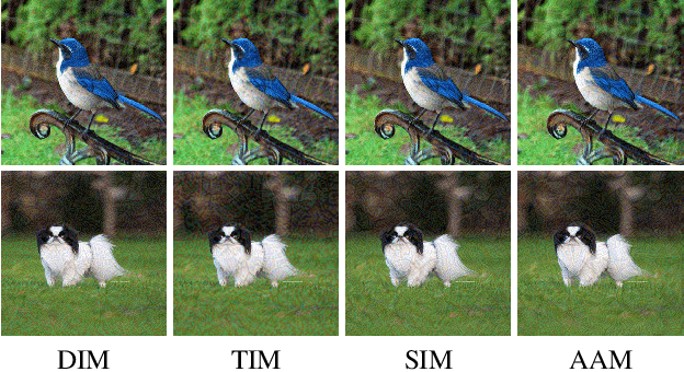 Figure 1 for Admix: Enhancing the Transferability of Adversarial Attacks