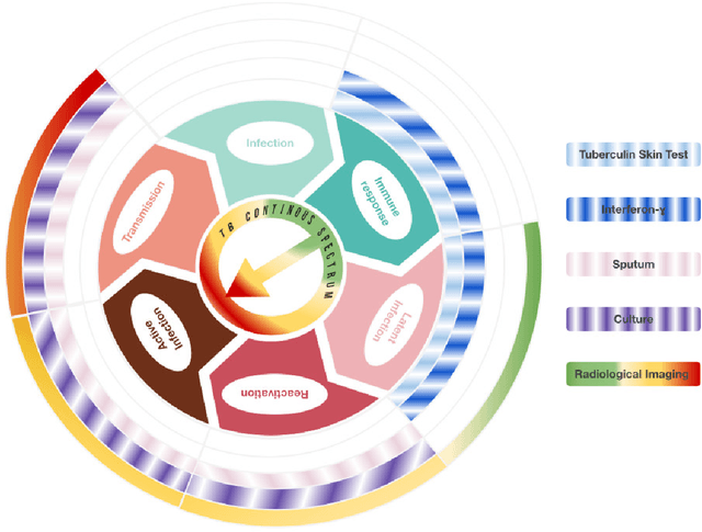Figure 3 for PhD Thesis. Computer-Aided Assessment of Tuberculosis with Radiological Imaging: From rule-based methods to Deep Learning