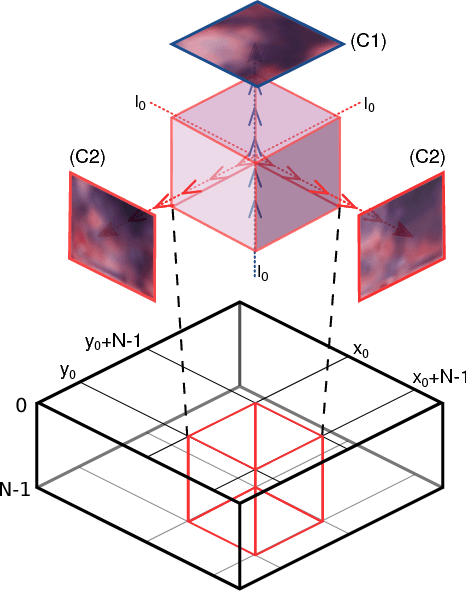 Figure 2 for Inferring a Third Spatial Dimension from 2D Histological Images