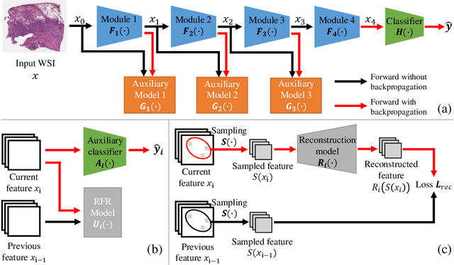 Figure 1 for Gigapixel Whole-Slide Images Classification using Locally Supervised Learning