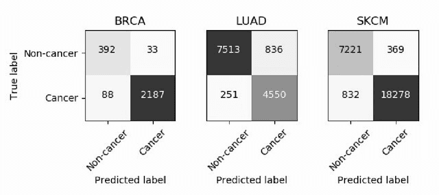 Figure 2 for Resolving challenges in deep learning-based analyses of histopathological images using explanation methods