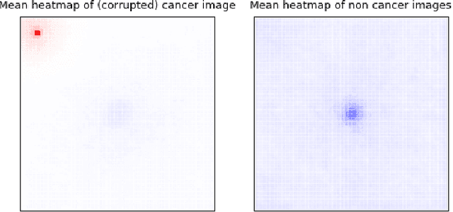 Figure 3 for Resolving challenges in deep learning-based analyses of histopathological images using explanation methods