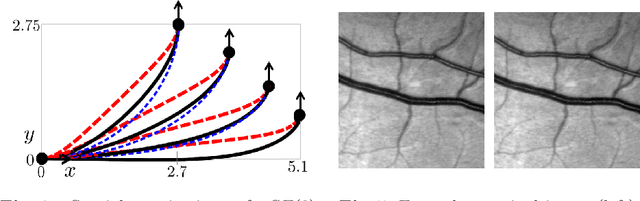 Figure 3 for Vesselness via Multiple Scale Orientation Scores