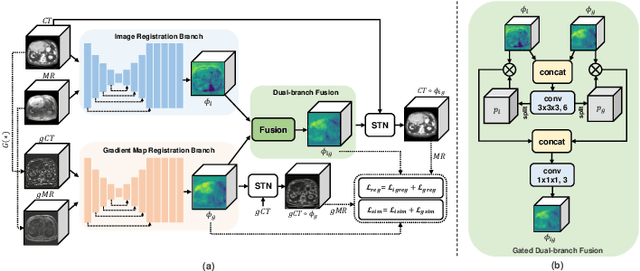 Figure 3 for Unsupervised Multimodal Image Registration with Adaptative Gradient Guidance