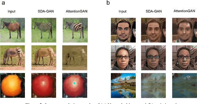 Figure 3 for SDA-GAN: Unsupervised Image Translation Using Spectral Domain Attention-Guided Generative Adversarial Network