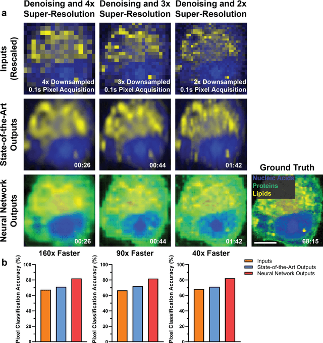 Figure 4 for High-throughput molecular imaging via deep learning enabled Raman spectroscopy