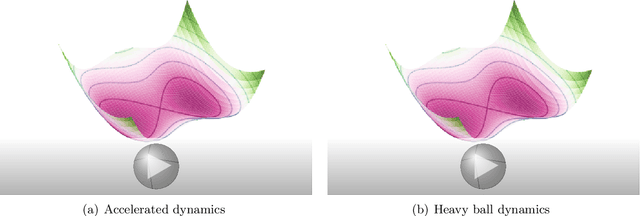 Figure 2 for Generalized Momentum-Based Methods: A Hamiltonian Perspective