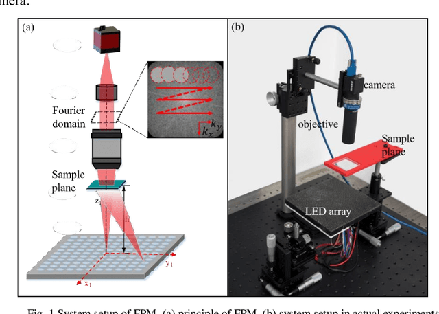 Figure 1 for Fast digital refocusing and depth of field extended Fourier ptychography microscopy
