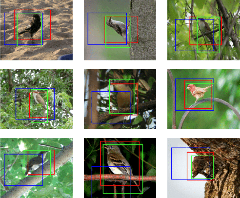 Figure 1 for Convolutional STN for Weakly Supervised Object Localization and Beyond