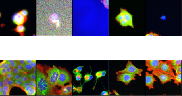 Figure 3 for Comparison of semi-supervised learning methods for High Content Screening quality control