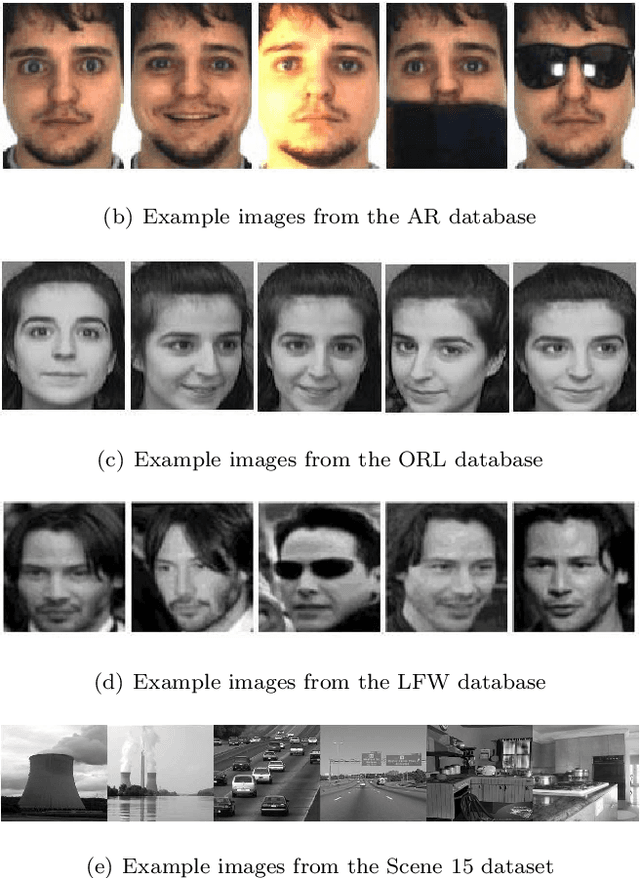 Figure 3 for Learning a Representation with the Block-Diagonal Structure for Pattern Classification