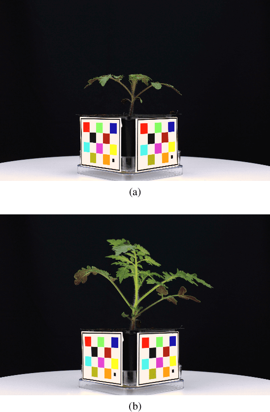 Figure 1 for Image-Based Plant Wilting Estimation
