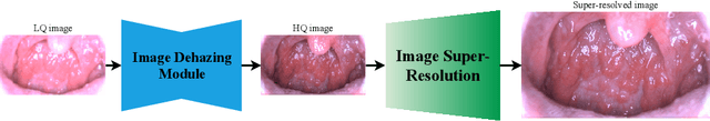 Figure 3 for MIINet: An Image Quality Improvement Framework for Supporting Medical Diagnosis