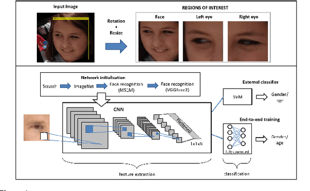 Figure 1 for Facial Masks and Soft-Biometrics: Leveraging Face Recognition CNNs for Age and Gender Prediction on Mobile Ocular Images