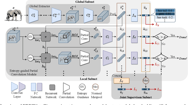 Figure 3 for An Entropy-guided Reinforced Partial Convolutional Network for Zero-Shot Learning