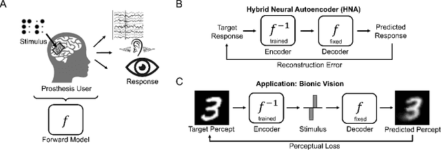 Figure 1 for A Hybrid Neural Autoencoder for Sensory Neuroprostheses and Its Applications in Bionic Vision