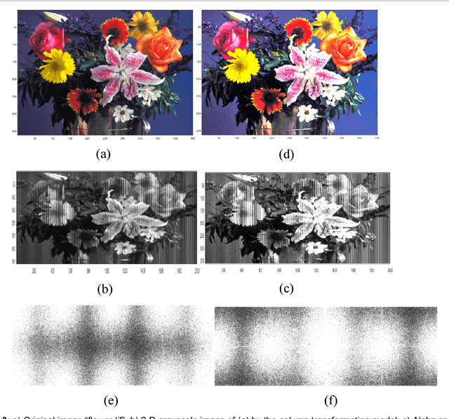 Figure 3 for A Novel Color Image Enhancement Method by the Transformation of Color Images to 2-D Grayscale Images
