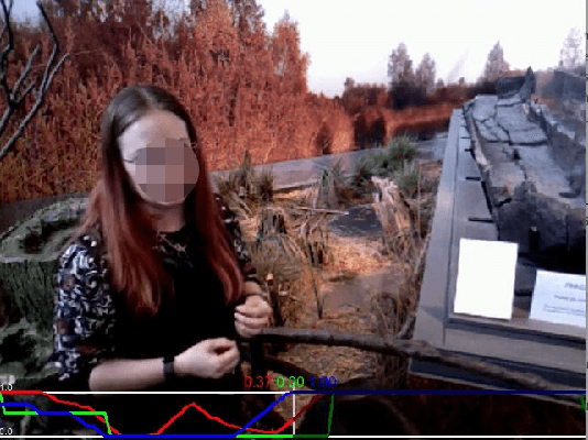 Figure 3 for Are you still with me? Continuous Engagement Assessment from a Robot's Point of View