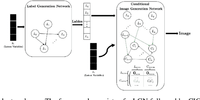 Figure 1 for CAN: A Causal Adversarial Network for Learning Observational and Interventional Distributions