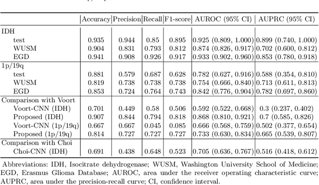 Figure 4 for MRI-based classification of IDH mutation and 1p/19q codeletion status of gliomas using a 2.5D hybrid multi-task convolutional neural network