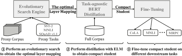 Figure 3 for Improving Task-Agnostic BERT Distillation with Layer Mapping Search