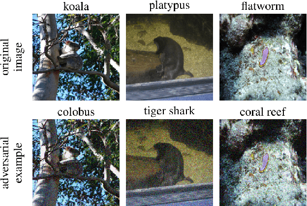 Figure 2 for Towards Query-Efficient Black-Box Adversary with Zeroth-Order Natural Gradient Descent