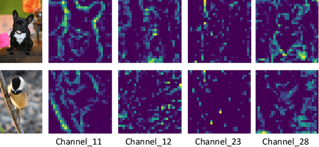 Figure 3 for BA^2M: A Batch Aware Attention Module for Image Classification