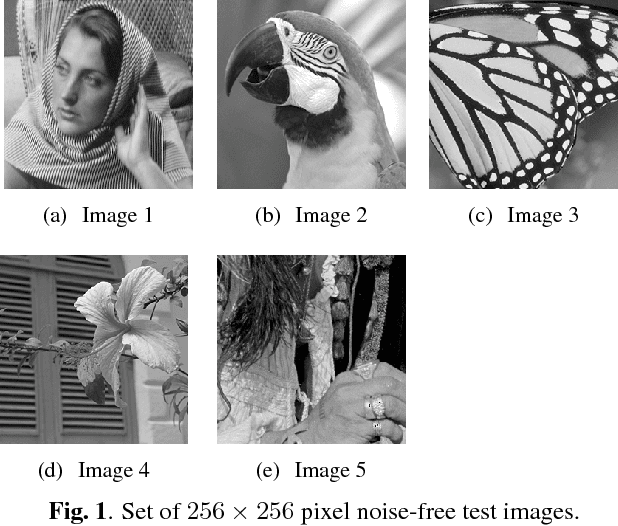 Figure 1 for Convolutional Sparse Representations with Gradient Penalties