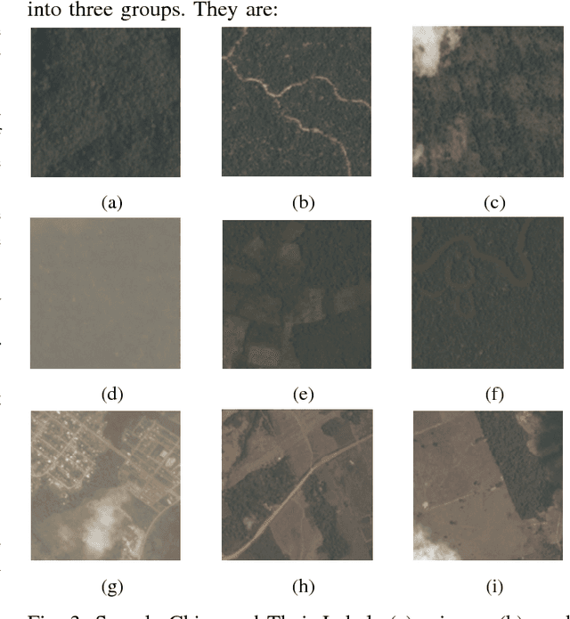 Figure 3 for Identifying Land Patterns from Satellite Imagery in Amazon Rainforest using Deep Learning