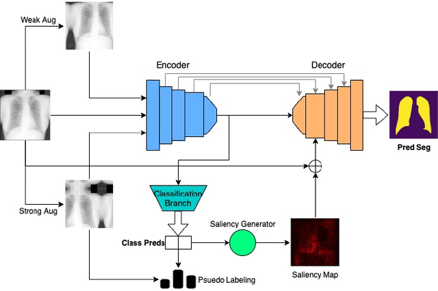 Figure 1 for MultiMix: Sparingly Supervised, Extreme Multitask Learning From Medical Images
