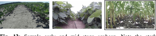 Figure 4 for Learned Visual Navigation for Under-Canopy Agricultural Robots