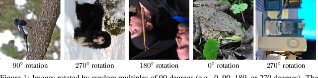 Figure 1 for Unsupervised Representation Learning by Predicting Image Rotations