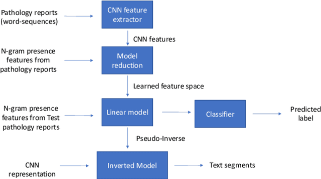 Figure 1 for Model Reduction of Shallow CNN Model for Reliable Deployment of Information Extraction from Medical Reports