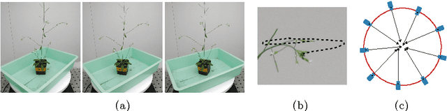 Figure 3 for Branching Gaussian Processes with Applications to Spatiotemporal Reconstruction of 3D Trees
