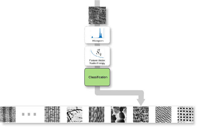 Figure 1 for Multi-q Analysis of Image Patterns