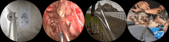 Figure 1 for MBAPose: Mask and Bounding-Box Aware Pose Estimation of Surgical Instruments with Photorealistic Domain Randomization